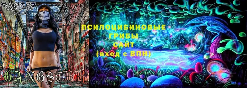 даркнет сайт  Будённовск  Галлюциногенные грибы MAGIC MUSHROOMS 